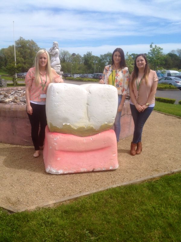 Team Swords Orthodontics at the 2014 Irish Dental Association annual conference in Kilkenny